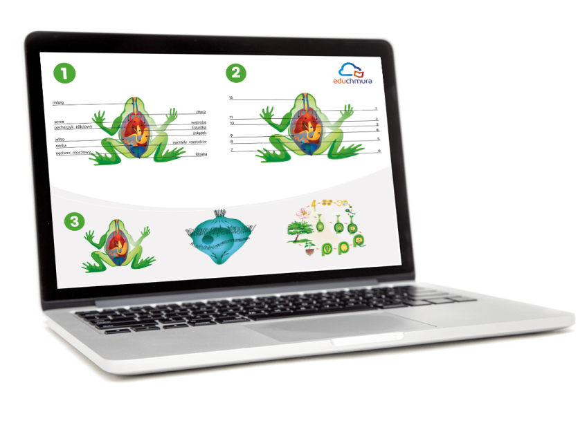 Ei System - Multimedialne ilustracje przedmiotowe. Biologia ponadpodstawowa