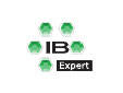  IBExpert 1 licencja